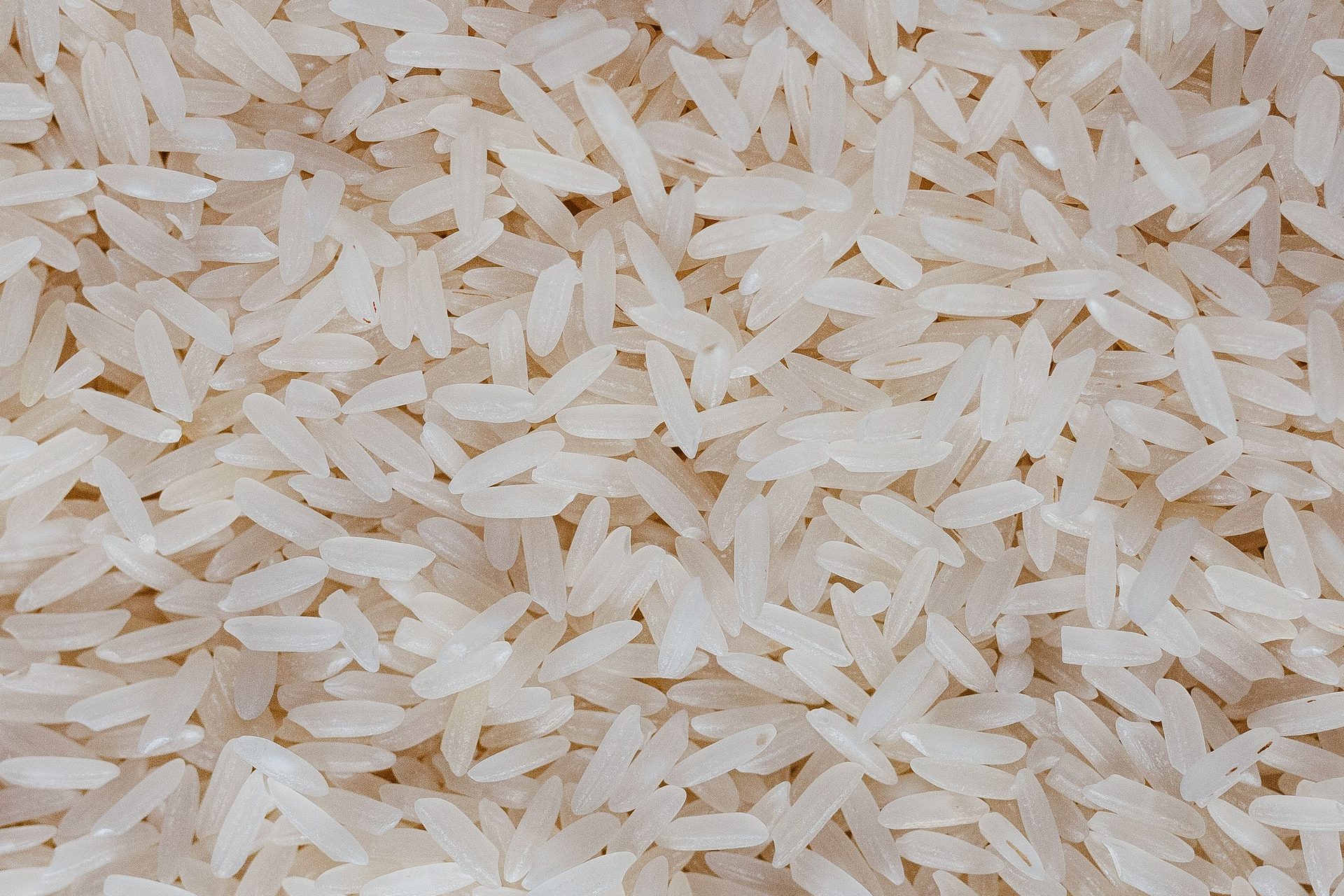 can you freeze uncooked rice